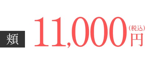 頬10,100円(税込)