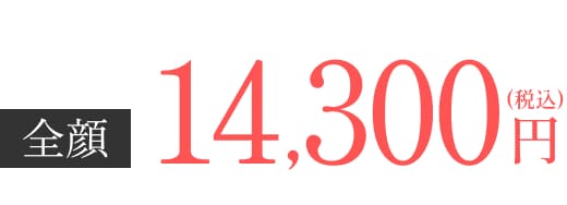 全額14,300円(税込)